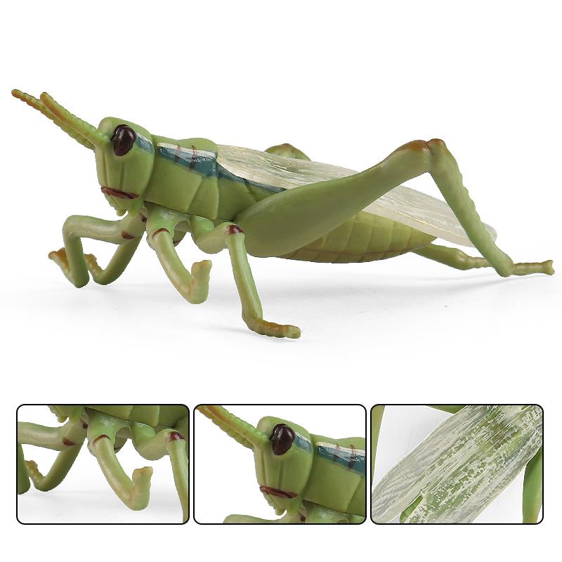 Oenux Simulation Dragonfly Grasshopper Centipede Wild Insect Animals Model Action Figures Miniature Education Collection Kid Toy