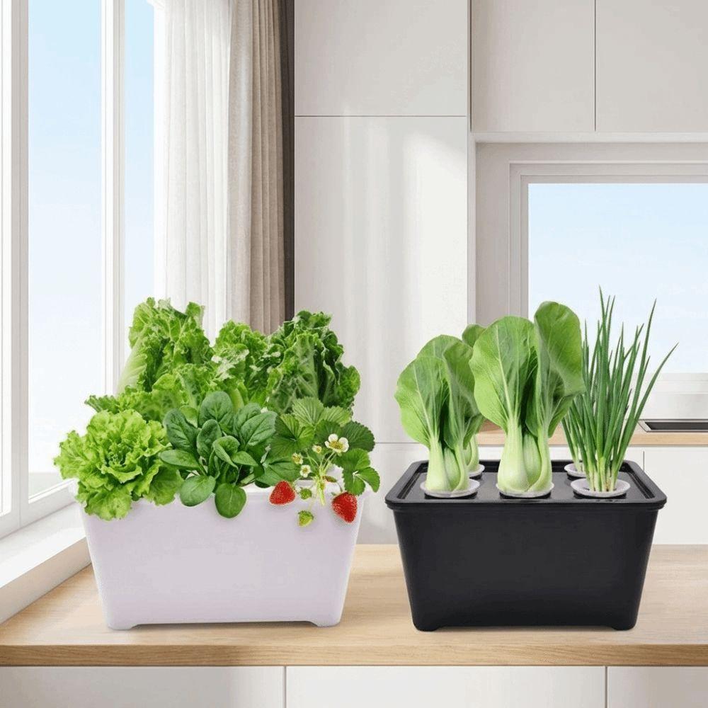 Plastic Hydroponic Grower Kit Self Watering Versatile Cultivation Box Vegetable Growing