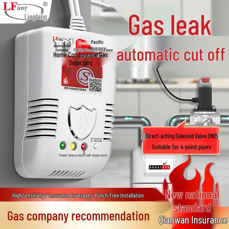 Lingfang LF-G55 Natural Gas Alarm with Auto Shut-off Valve