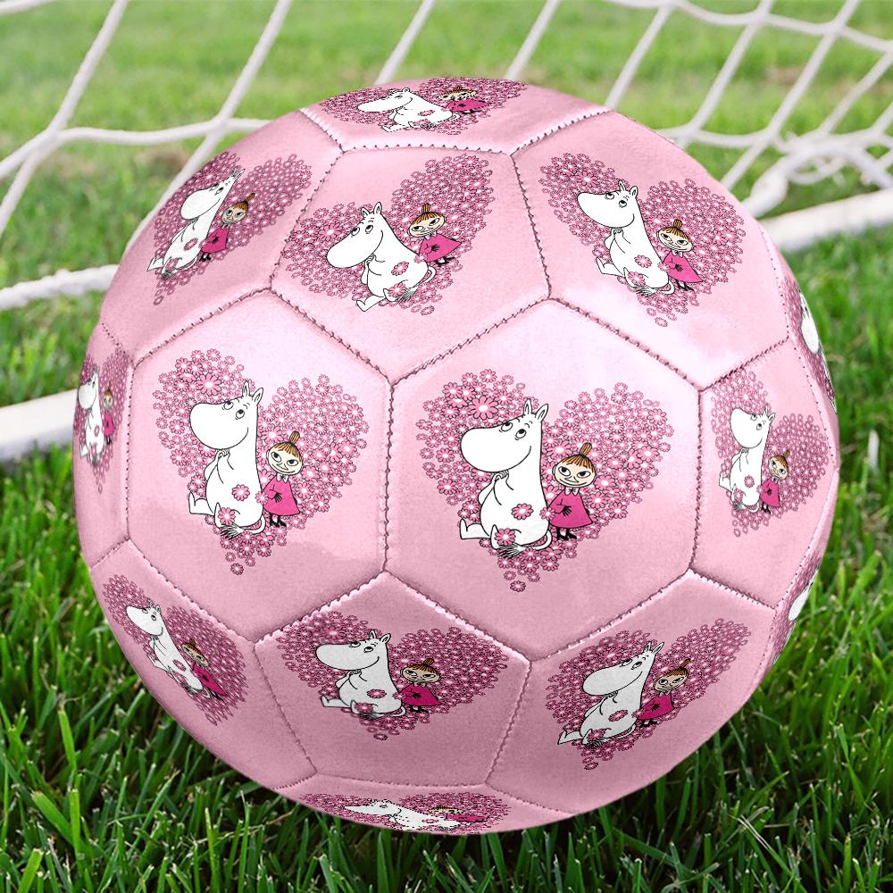 Moomin Theme Size 5 Soccer Ball, Suitable for Both Indoor and Outdoor Matches, a Gift Suitable for Everyone.