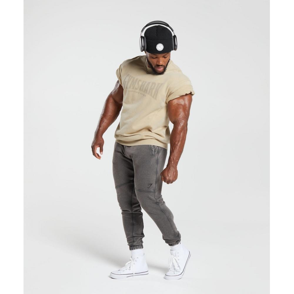 Gymshark Heritage Washed Short Sleeve Crew Desert Beige A4a8d Nb1v