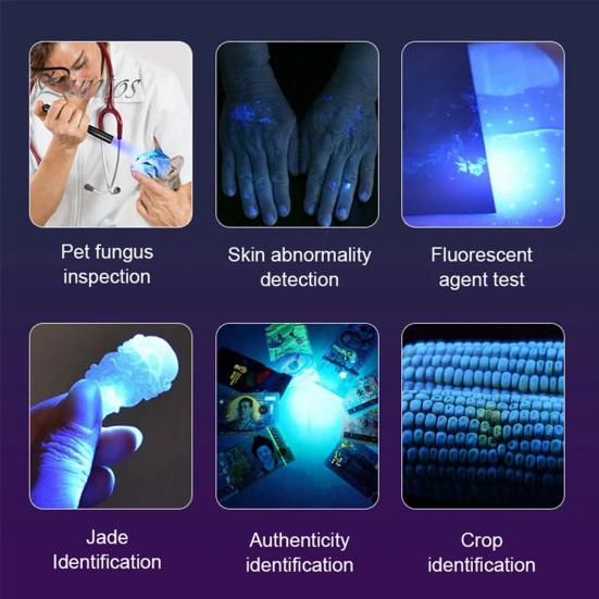 UV Flashlight 395nm Black Light USB Rechargeable Zoom Function Waterproof Portable Ultraviolet Torch Light