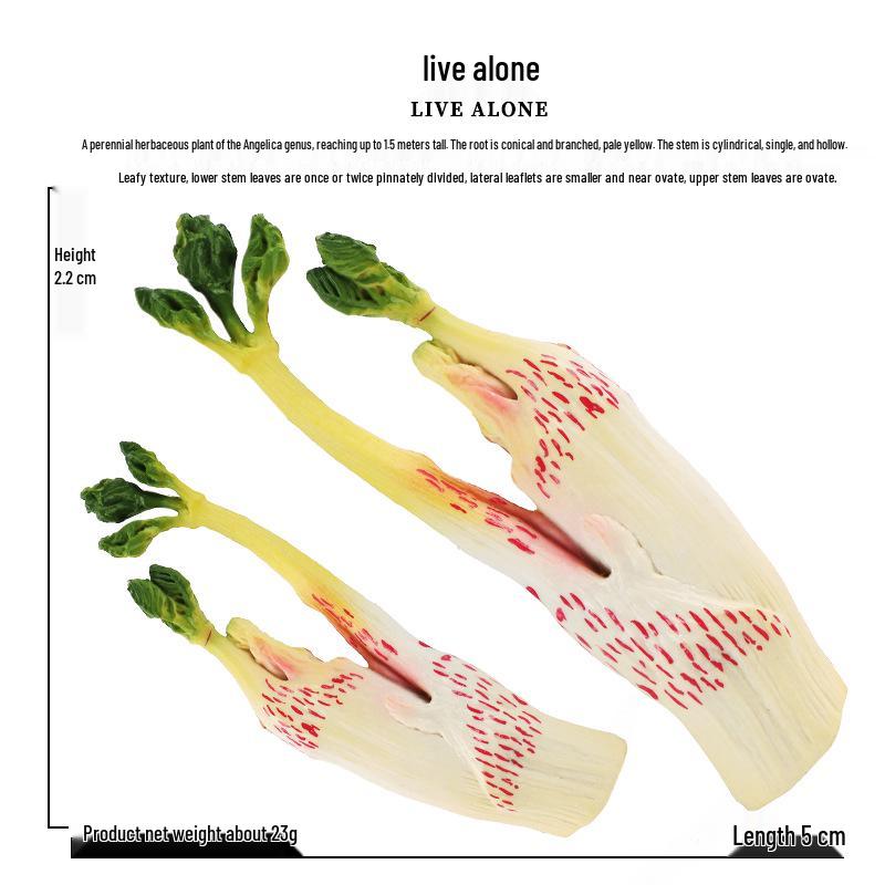 Simulated Vegetables & Mushrooms: Educational Props & Decorative Toys for Kindergarten