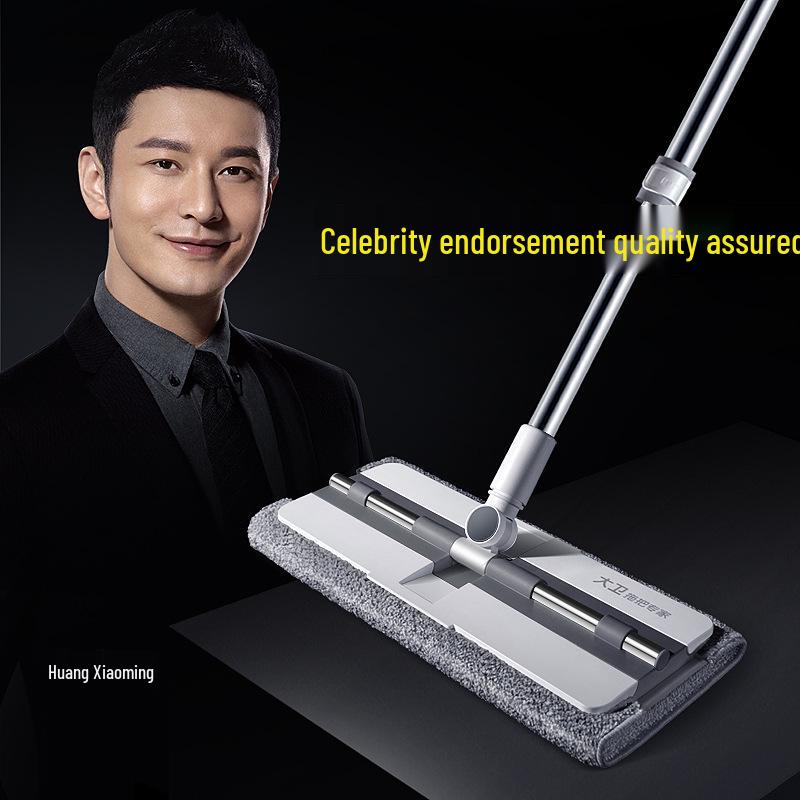 David 2021 Flachmopp: Freihändig, Doppelte Verwendung für Trocken- und Nassreinigung