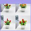Plastic Fruit Bonsai Set With Faux Flowers And Miniature Decorative Plants For Home Decor