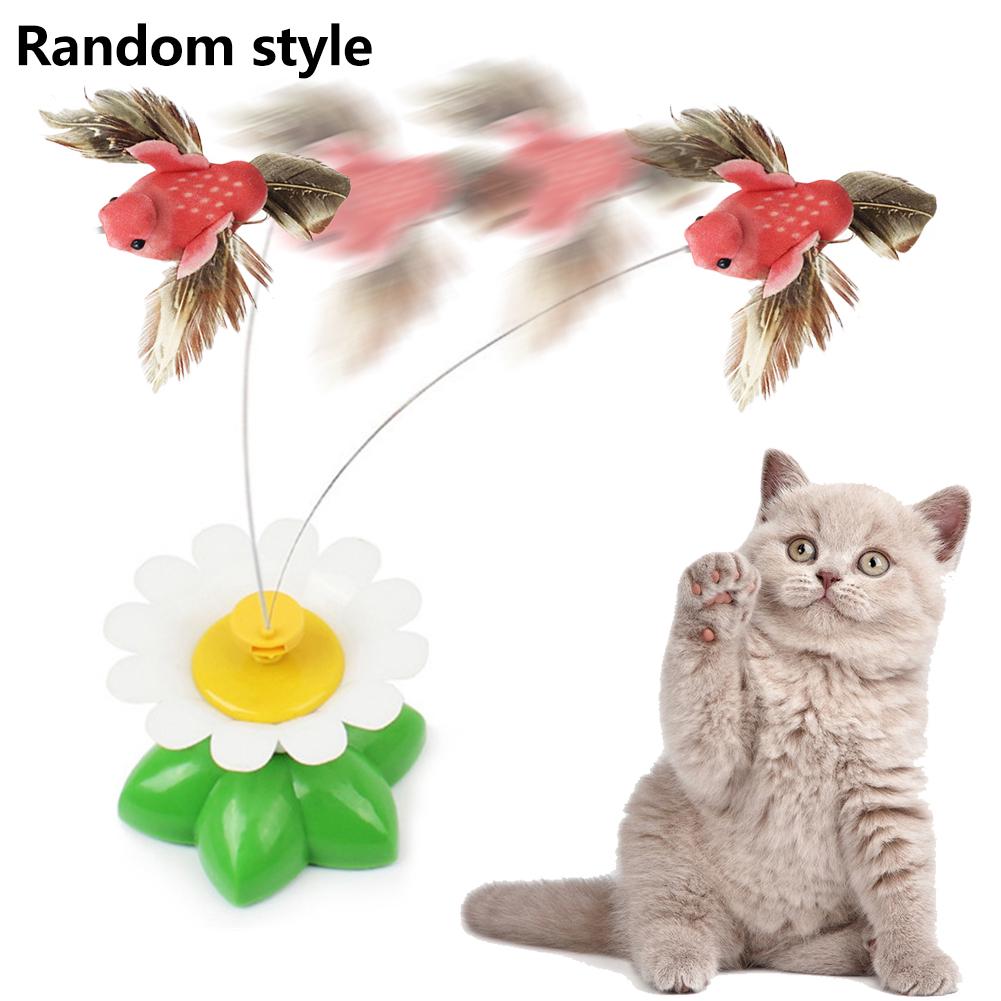 flying cat toy