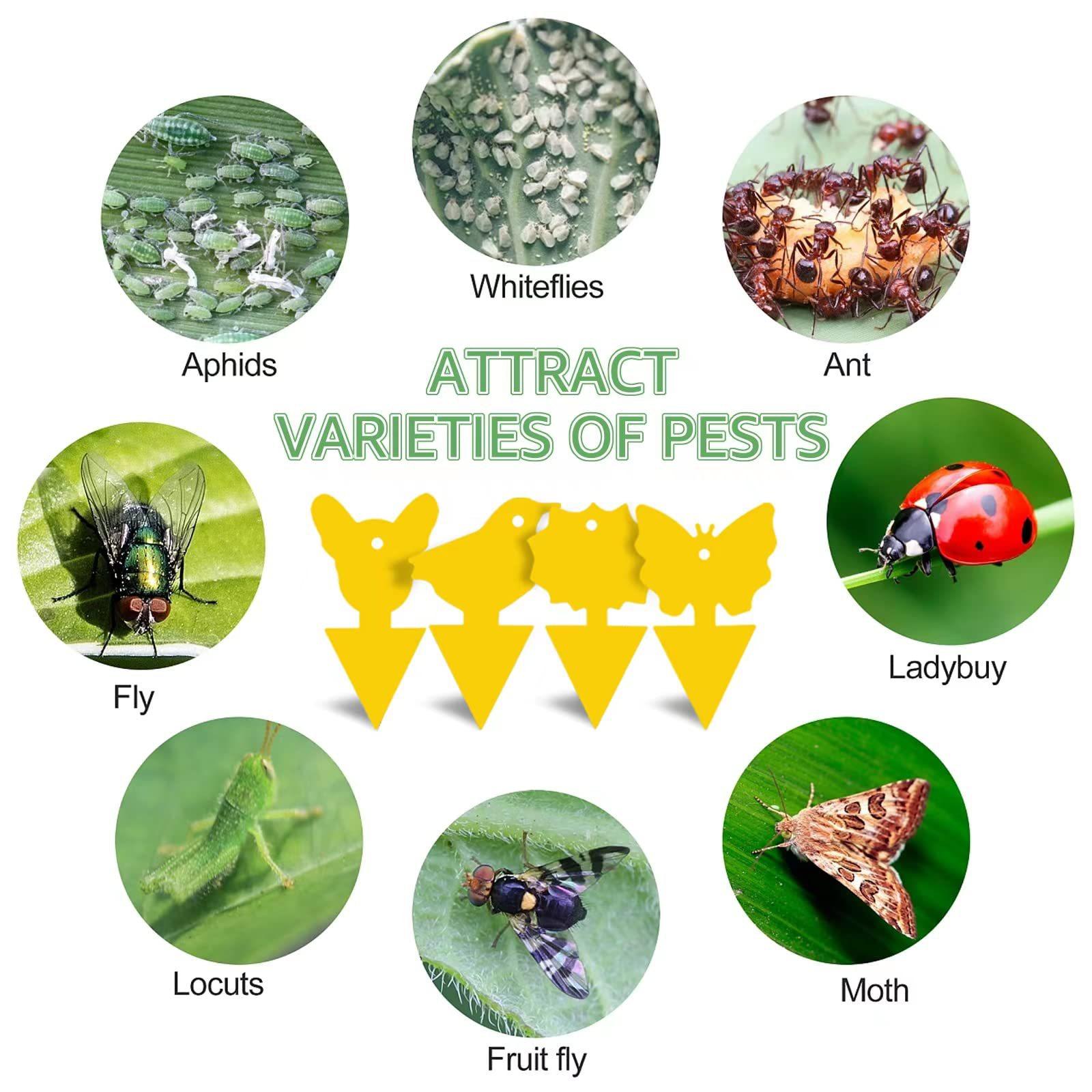 

20Pcs Sticky Insect Trap Plant Pest Control Catcher Gardening Supplies Double-sided Yellow PP Sticky Board Thick Butterfly