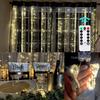 8 Function Remote Control LED Fairy Lights USB String Lights Christmas Garland for New Year Wedding Party Tree Garden Decoration