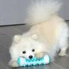 Bite Resistant Dog Toothbrush Non-slip Dog Teething Bones Rod Puppy Cleaning Toy  Pet Gift