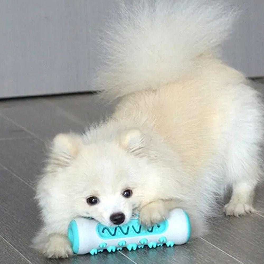 Bite Resistant Dog Toothbrush Non-slip Dog Teething Bones Rod Puppy Cleaning Toy  Pet Gift