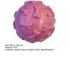 Squeaky Dog Ball Raised Texture Dog Chew Toy Bite-Resistant Puppy Teething Toy for Dogs Teeth Cleaning Boredom Relief