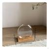 Glass WaterBased Gardening Vase Transparent Desktop Flower Container Creative Design Clear Plant
