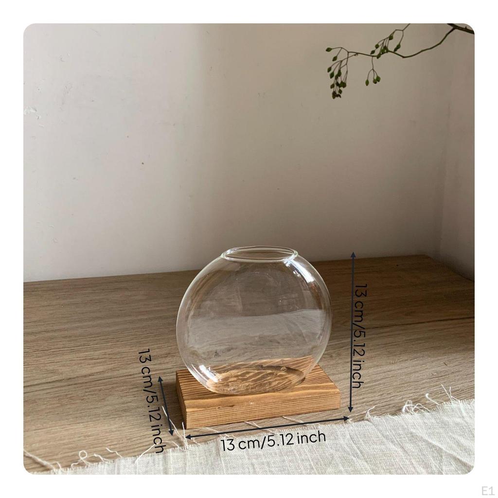 Glass WaterBased Gardening Vase Transparent Desktop Flower Container Creative Design Clear Plant