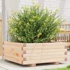 VidaXL Planter 60x60x26.5 Cm Solid Pine Wood, Outdoor Planter, Flower Box, Plant Box, Planter 847298