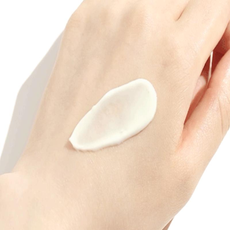 ROUND LAB Birch Juice Moisturizing Sunscreen SPF 50+ PA++++ 50ml/100ml