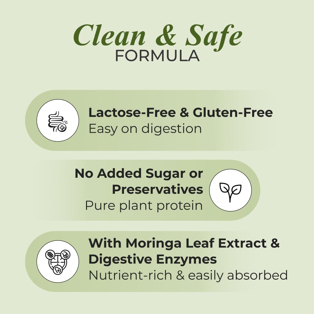 Nutrela Green Plant Protein Powder Chocolate 500g Plant Based Protein With Multivitamins Minerals For Muscle Support Fitness Nutrition