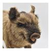 Canal BH4092 HANSA Boar 52