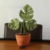 Albaricoque Cordero 45Cm Concha De Tortuga Creativa Serie De Plantas De Bambú Muebles De Juguete Adornos Muñecas Lindas Set