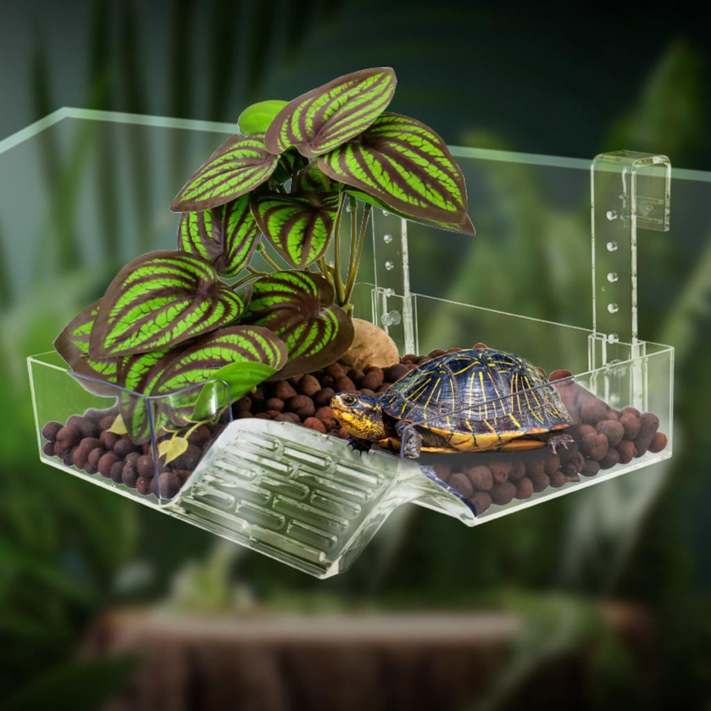 Sloped Animal Basking Platform Simulated Living Space Platform For Tortoises Geckos Amphibians
