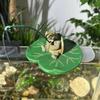 Ev Dekoru – Dekoratif Terraryumlar