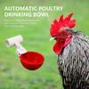 5 Pcs Chicken Drinker Large Automatic Water Cup With PVC T-Shirt Accessory Feeders For Ducks Geese Turkeys Poultry Feeder Kits