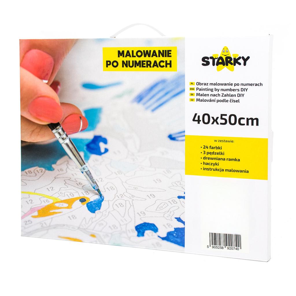 Paint by numbers picture with frame paints brushes coast creative set