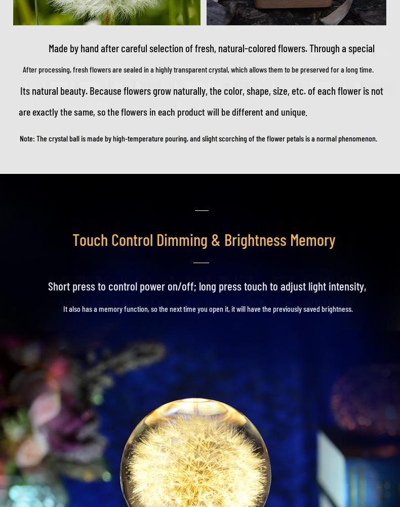Dandelion Preserved Flower Night Light - Wooden Crystal Ball for Christmas & Birthday Gifts