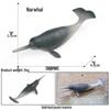 Marine Animal Simulation Model Figures: Shark, Dolphin, Hammerhead, Crab, Squid, Starfish for Kids' Education