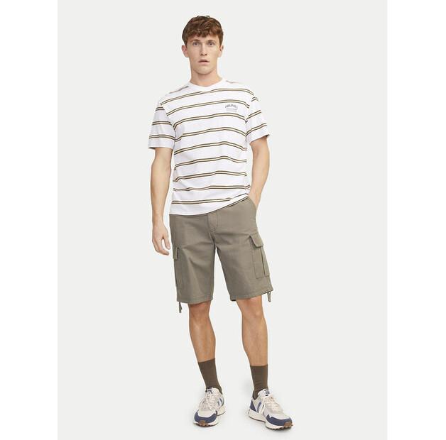 Шорты Jack & Jones Jpstcole