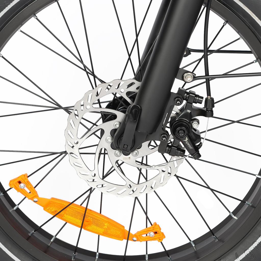 BAOLUJIE DZ-2030 Electric Bike 20*4.0'' Inch Tires 500W Motor 48V16AH Battery Max Speed 40KM/H Mechanical Disc Brakes