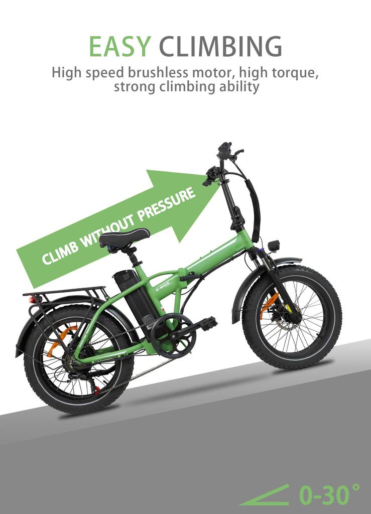 BAOLUJIE DZ2031 Electric Bike 20*4.0" Fat Tire, 500W Motor 48V 13Ah Battery 35-45km Range 40km/h Max Speed Mechanical Disc Brake