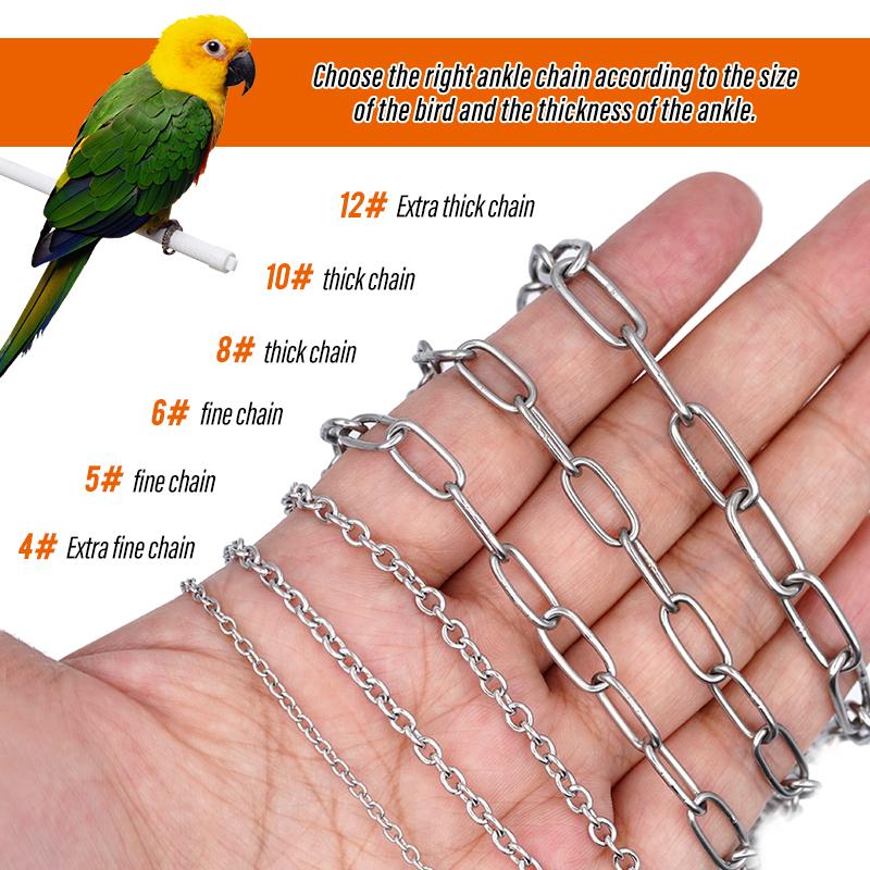 Vogel Papagei Fußkette Edelstahl Knöchel Fußring Ständer Kette Outdoor Flugtraining Star Stare Taube Vogel Zubehör
