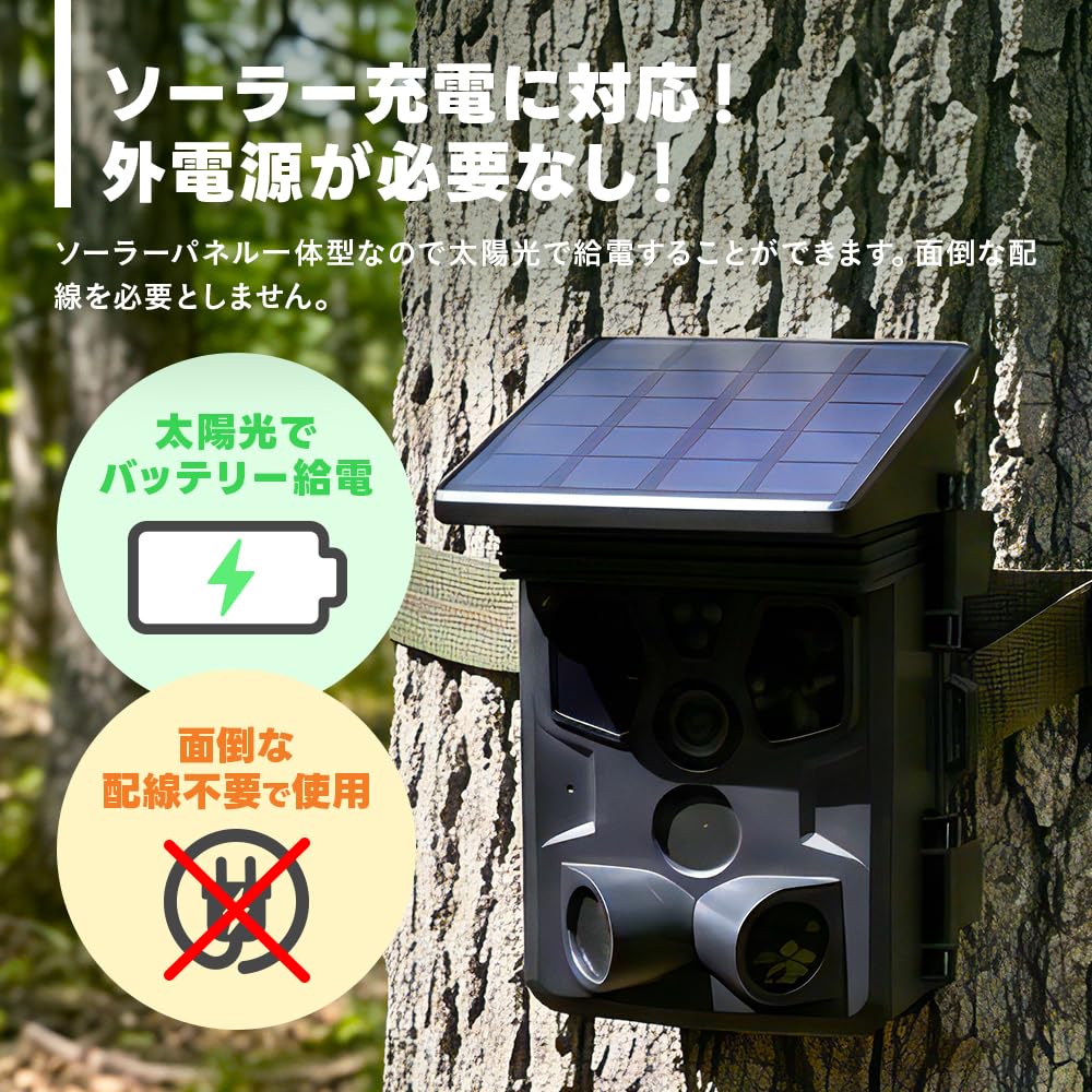 WTW Tsukamoto Wireless Trail Camera Pest Security Battery 100 Megapixel Still 4K AP Smartphone - Bear, Control, Camera, Operated, Images/8MP Video,
