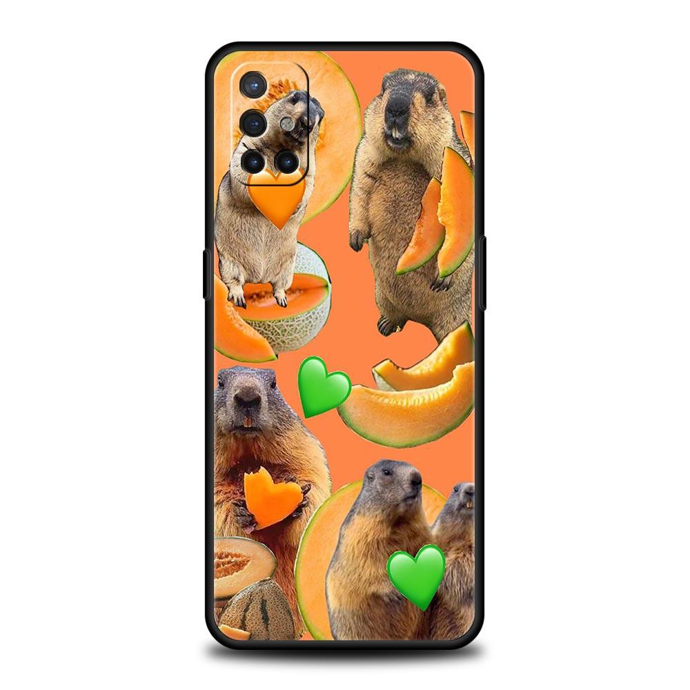 

marmot Phone Case For OnePlus 15 13 12 11 10 Pro 13T 13R 12R 9 8T 8 7 7T 9R Nord 2T CE 2 3 4 5G Soft Cover Nord CE 2 5G