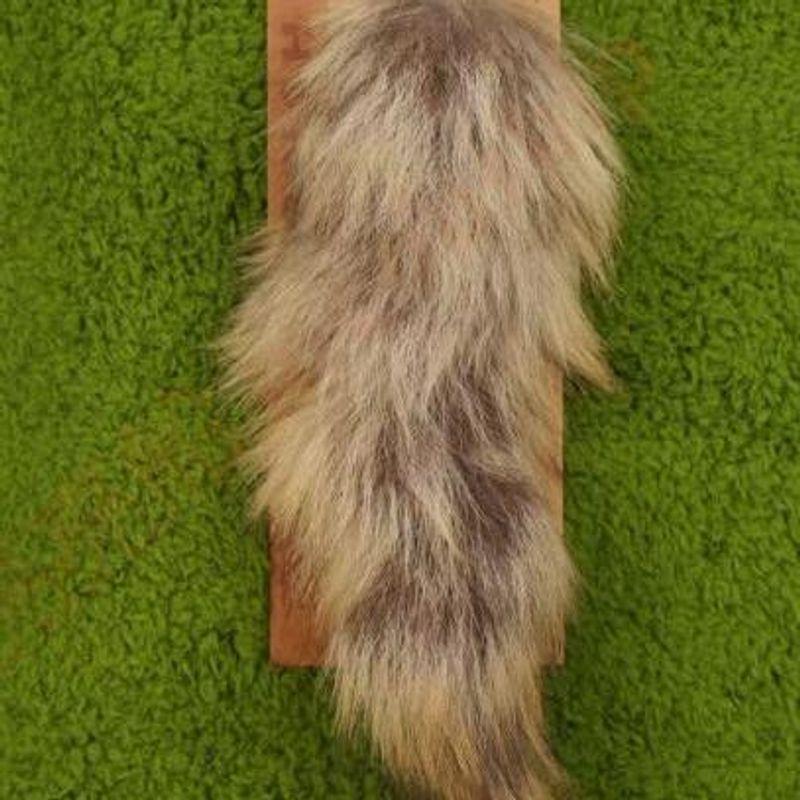 Cat Toy Smell Fengrong Coyote Tail Cat Teaser Cat Smell Toy Self-Hi Relieving Stuffy Handy Gadget Pet Supplies