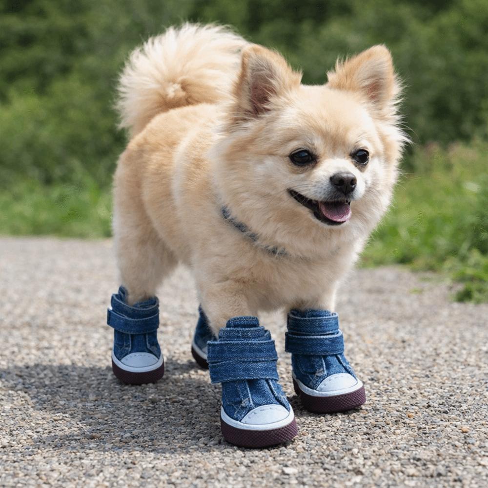 4pcs/set Adjustable Non-Slip Pet Shoes Breathable Wear-Resistant Dog Canvas Sneakers Rubber Soles Pet Board Shoes Pet Supplies