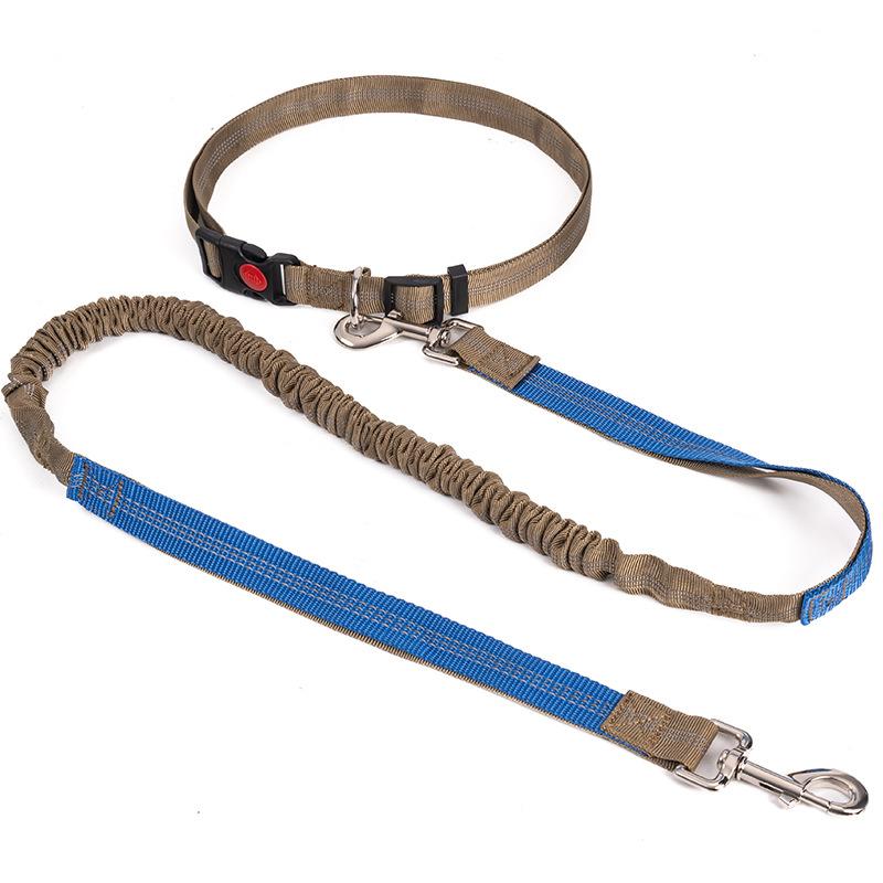 Empty Shell Weight Carrying Strap Vest with Pockets Muscle Training Kit Dogo Argentino American Pit Bull Large Canine K9 Jacket