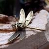 Vintage Brass Dragonfly Figurine Ornament - Antique-Style Home & Office Desk Decor, Creative Tea Pet Collectible Statue
