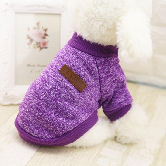 dogs woolen clothes
