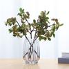 Simulation of small fine fruits, Mizailan flower arrangement materials, Milan fruit home furnishing living room interior decoration fruit branches