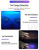 Wood's Cat Ringworm Detection LED: USB Rechargeable UV Blacklight for Money, Urine, and Fungi Detection