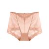 Lace Mesh Underwear for Women Plus Size Seamless Briefs Hollow Out High Waist Sexy Hip Lifting Breathable Triangle Panties