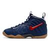 Little Posite Pro USA