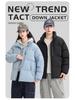 Unisex Winter Down Jacket: Men's and Women's Loose Casual Thick Warmth - 90% White Duck Down