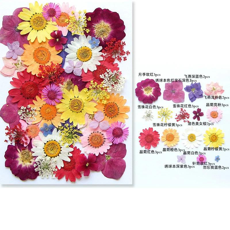 Dried Pressed Flowers for Resin Molds Real Natural Dried Flowers kit for Scrapbook Supplies Card Jewelry Making Soap Candle DIY