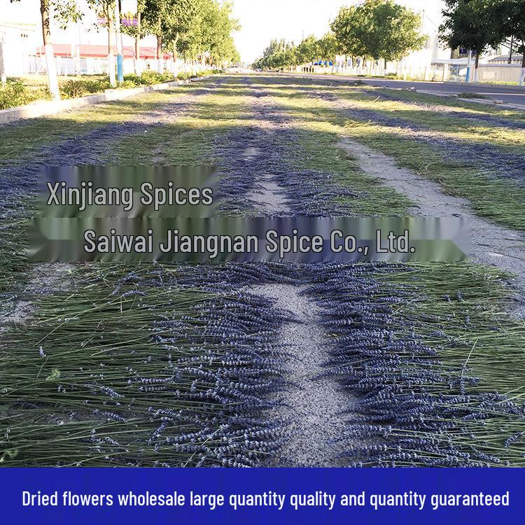 Dried Lavender Flower Bundles - Pure Handmade Living Room Decorations from Xinjiang