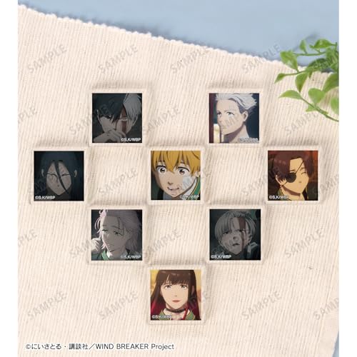 TV Anime "WIND BREAKER" Trading Scene Acrylic Tiles Box of 8
