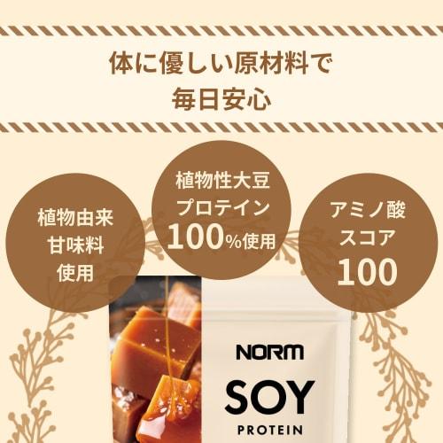 NORM Soy Protein, Salted Caramel Flavor, 600g, 100% Plant-Based Soy Protein, Amino Acid Score 100, Low Fat, High Protein, No Artificial Sweeteners, Ma