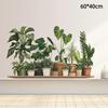 Hanging Green Potted Plants Wall Decal Realistic Look Removable Design For Bedroom Living Room Office Home Decor
