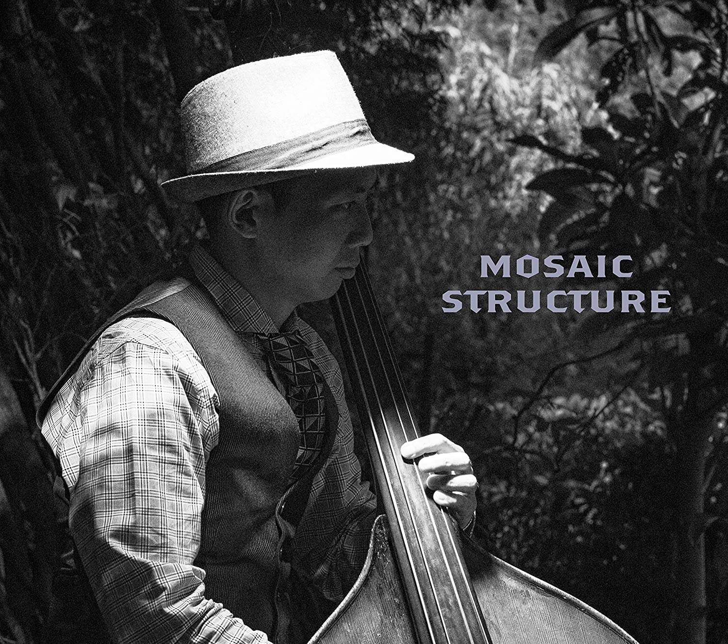 

CD HATAKEYAMA ORDINANCE - MOSAIC STRUCTURE FRW2365 Japan Japanese Pop/Rock Used